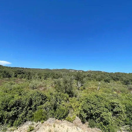 Chez Jeff Lucchini *